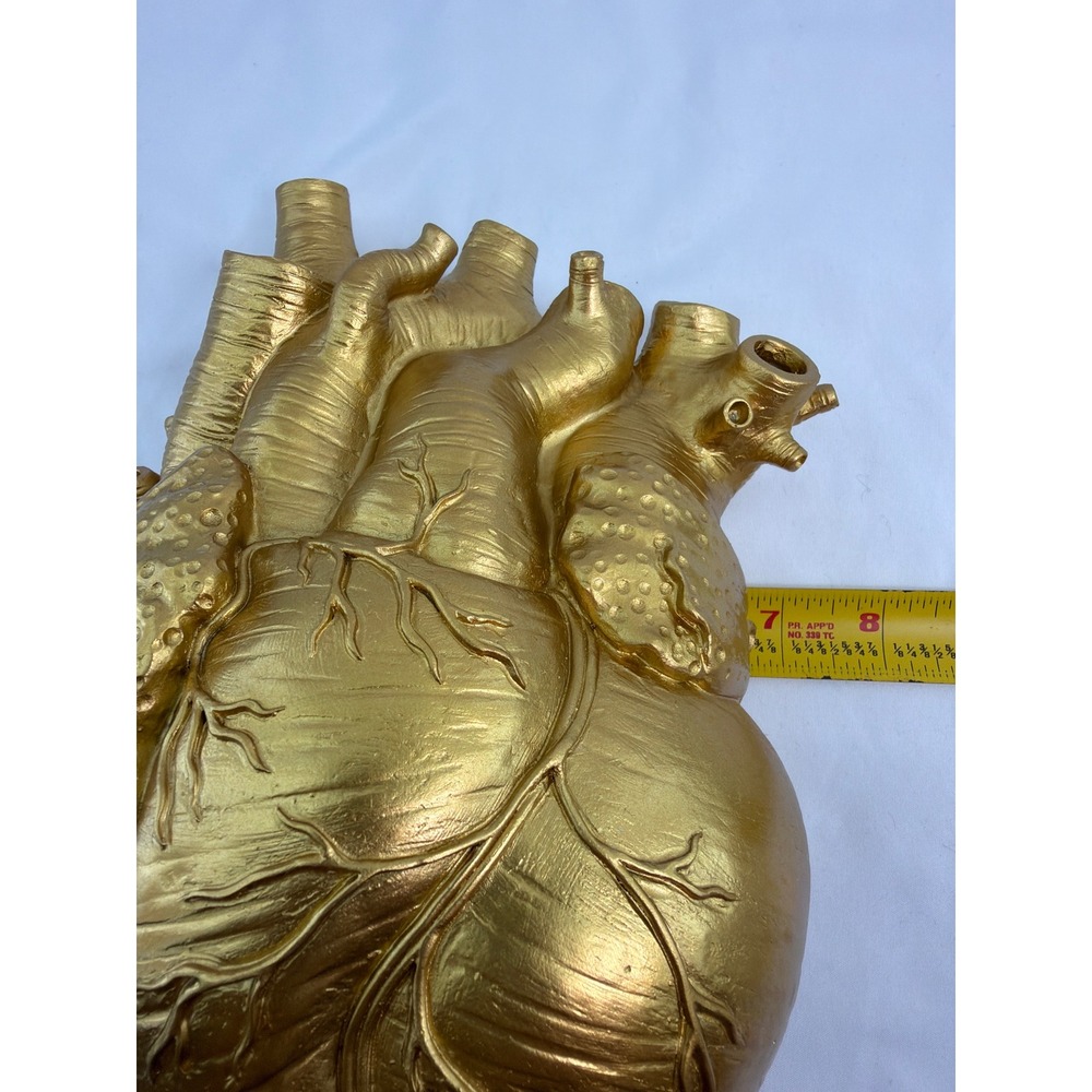 Unbranded Anatomical Heart Vase Large Gold Excellent Resin Medical Decor - Picture 2 of 5